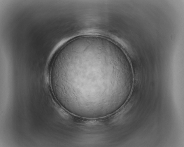 X0000110971462200906261358