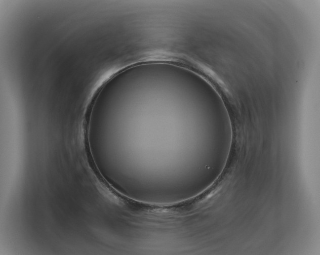 X0000110971463200906261358