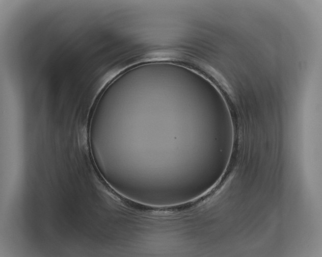 X0000110971465200906261358