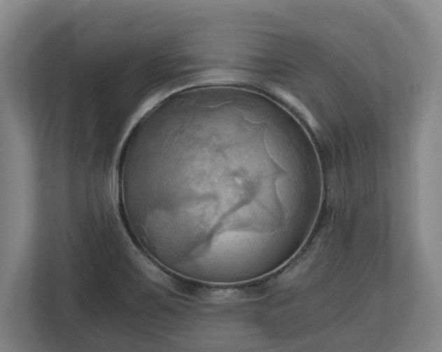 X0000110971467200906261358