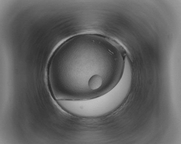 X0000110971468200906261358