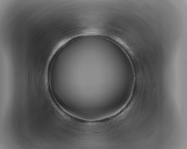 X0000110971469200906261358