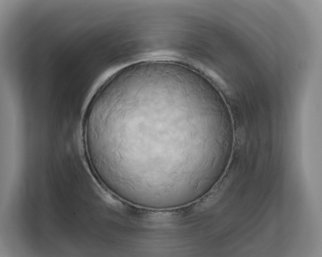 X0000110971470200906261358