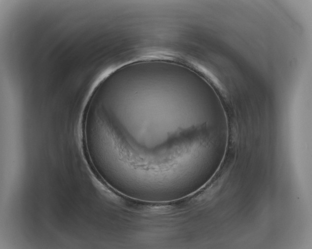 X0000110971471200906261358