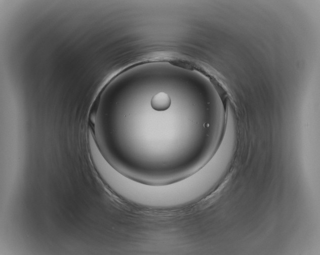 X0000110971473200906261358