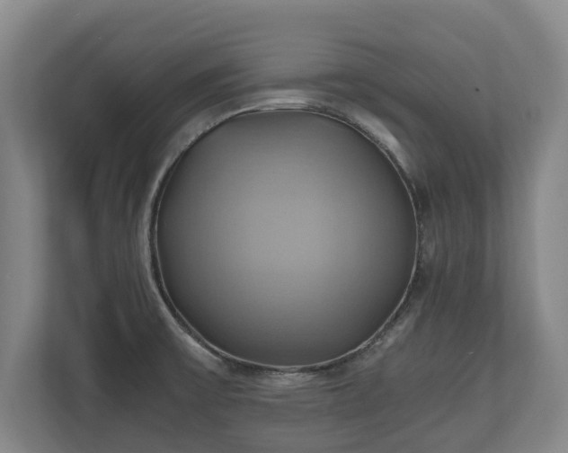 X0000110971475200906261358