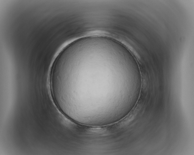 X0000110971478200906261358