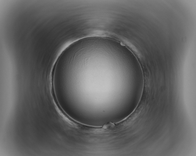 X0000110971479200906261358