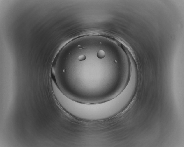 X0000110971481200906261358