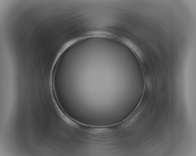 X0000110971482200906261358