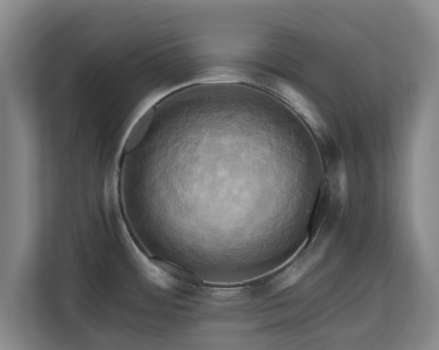 X0000110971484200906261357