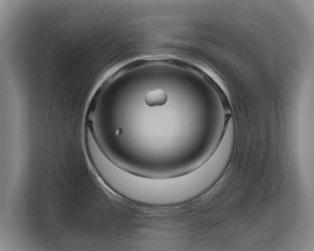 X0000110971485200906261357