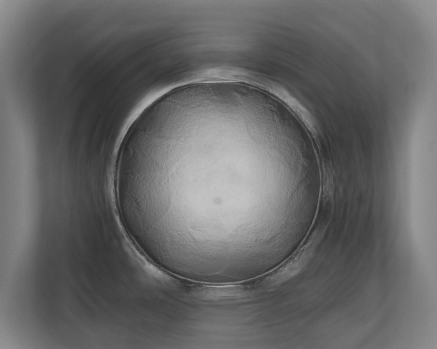 X0000110971486200906261357