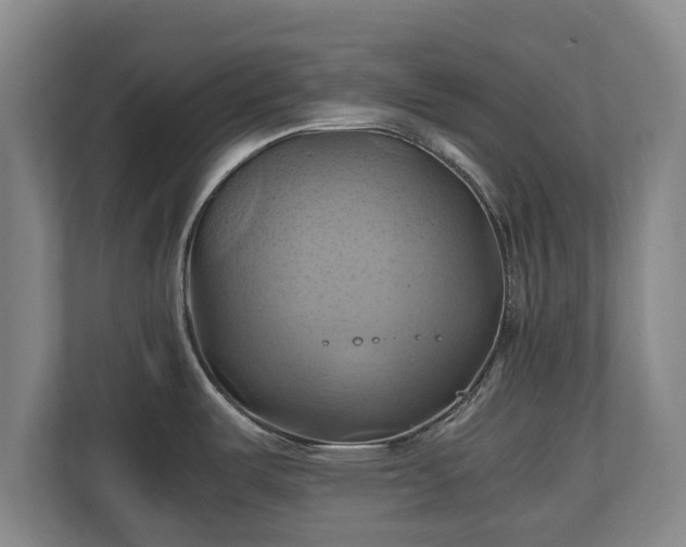 X0000110971487200906261357