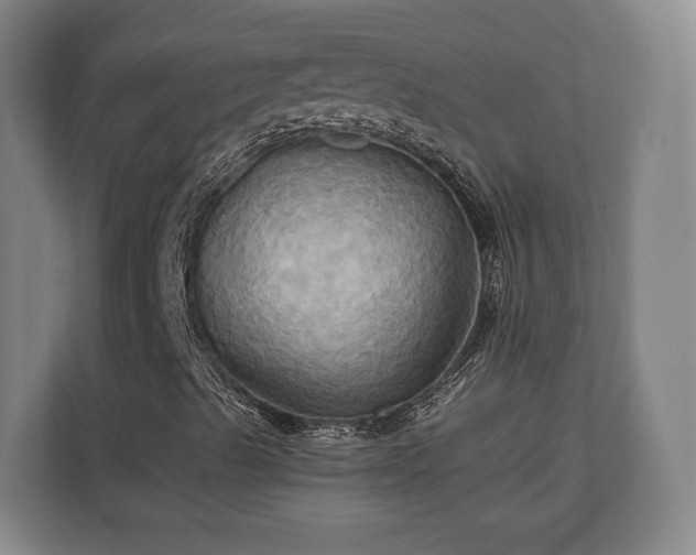 X0000110971489200906261357