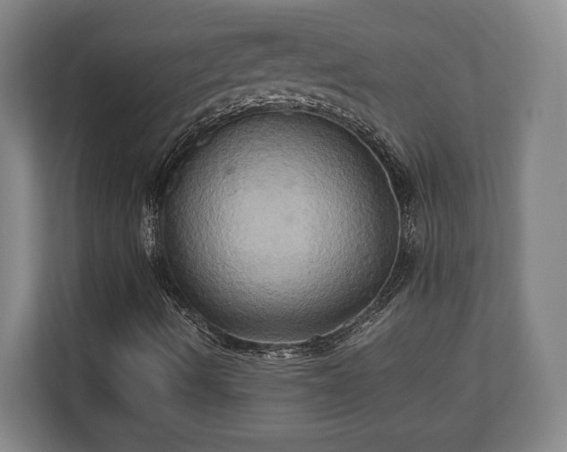 X0000110971490200906261357