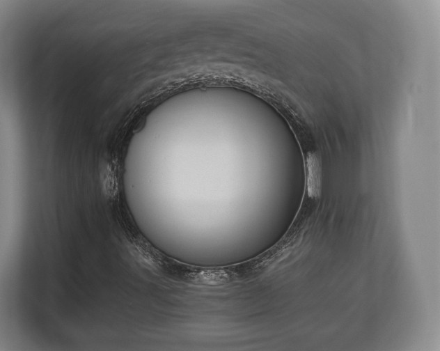 X0000110971491200906261357