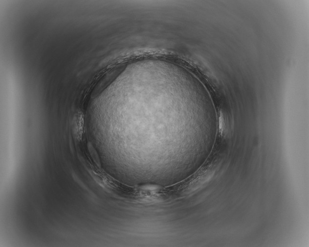 X0000110971492200906261357