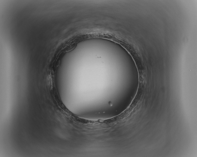 X0000110971493200906261357