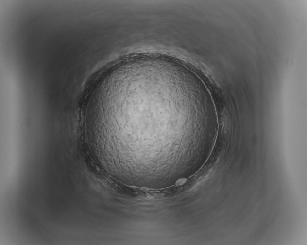 X0000110971494200906261357