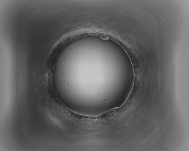 X0000110971495200906261357