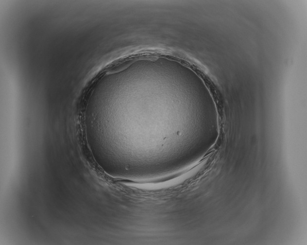 X0000110971496200906261357