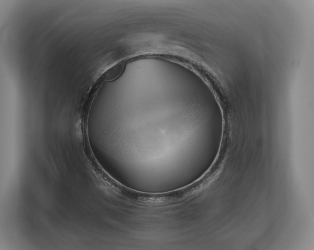 X0000110971497200906261357