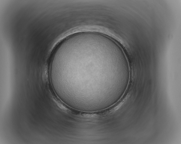 X0000110971498200906261357