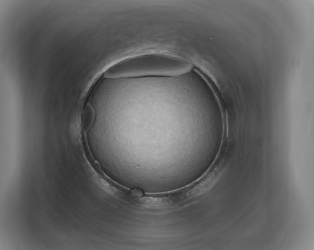 X0000110971500200906261357