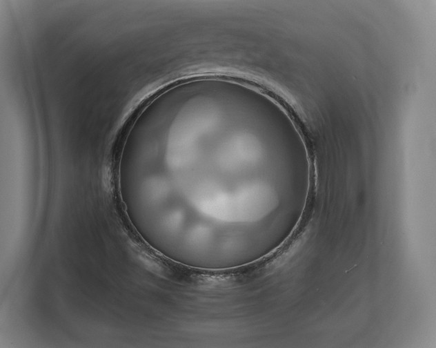 X0000110971501200906261357