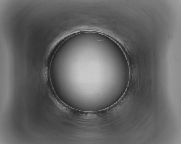 X0000110971503200906261357