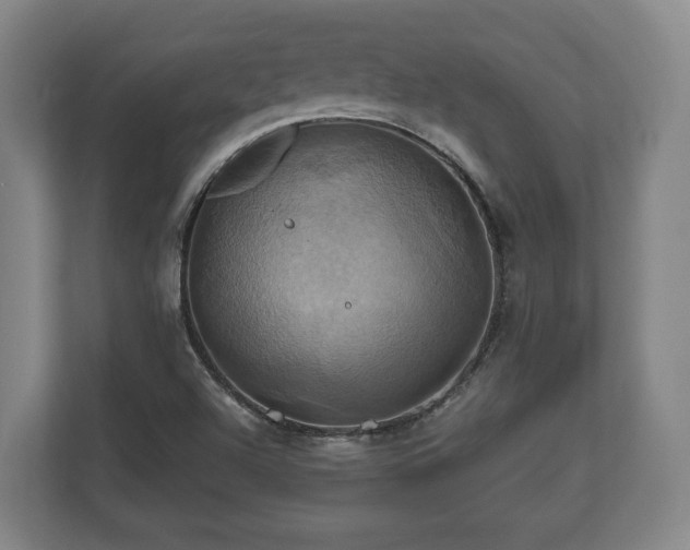 X0000110971504200906261357