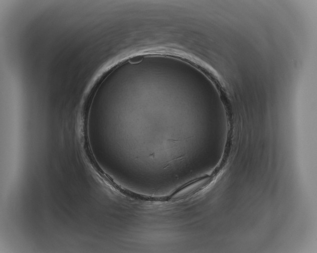 X0000110971506200906261357