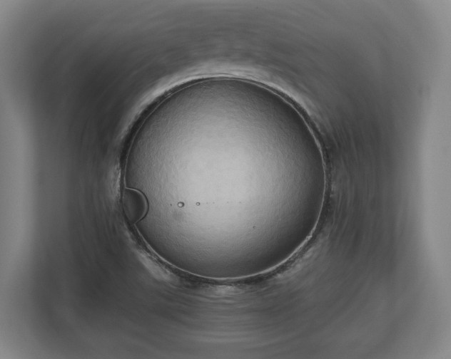 X0000110971507200906261357