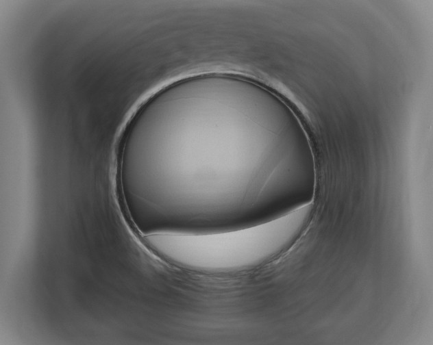 X0000110971508200906261357