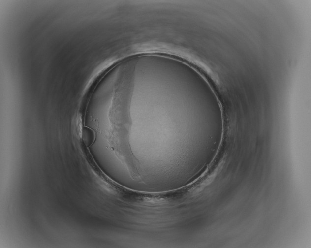 X0000110971509200906261357