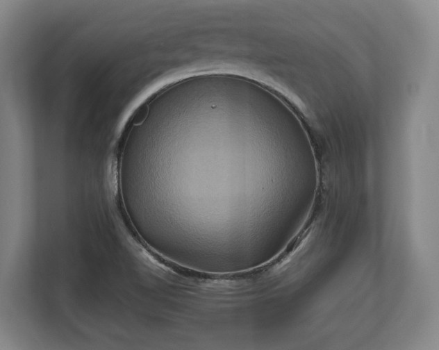 X0000110971510200906261357