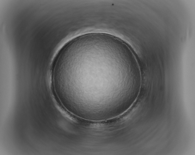 X0000110971511200906261357