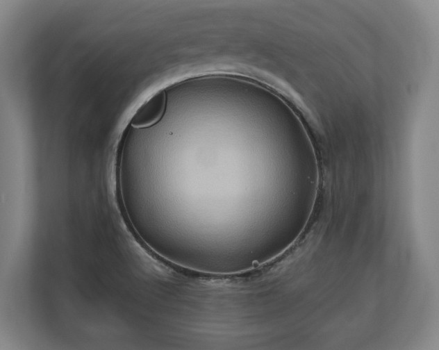 X0000110971512200906261357