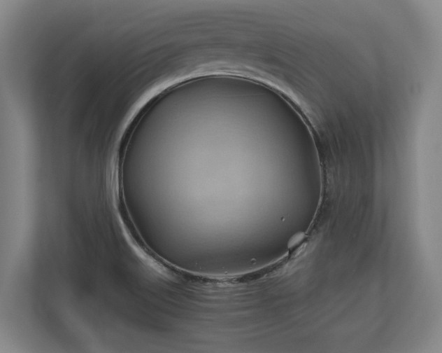 X0000110971515200906261357