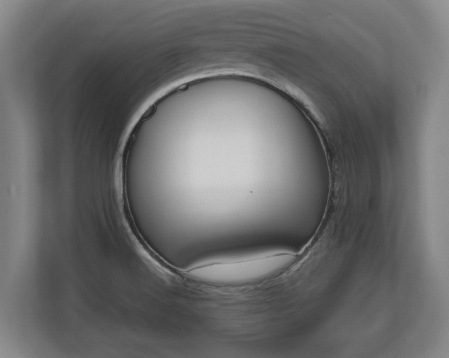 X0000110971516200906261357