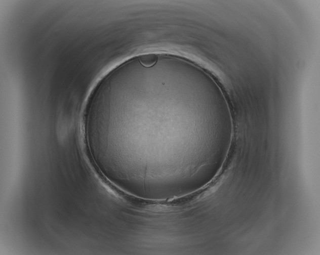 X0000110971517200906261357