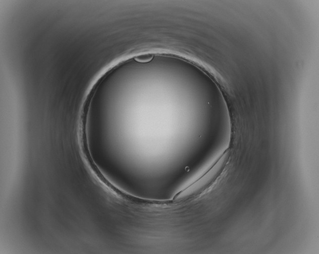 X0000110971518200906261357