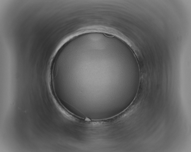 X0000110971523200906261357