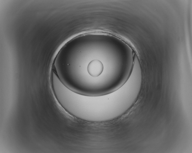 X0000110971524200906261357