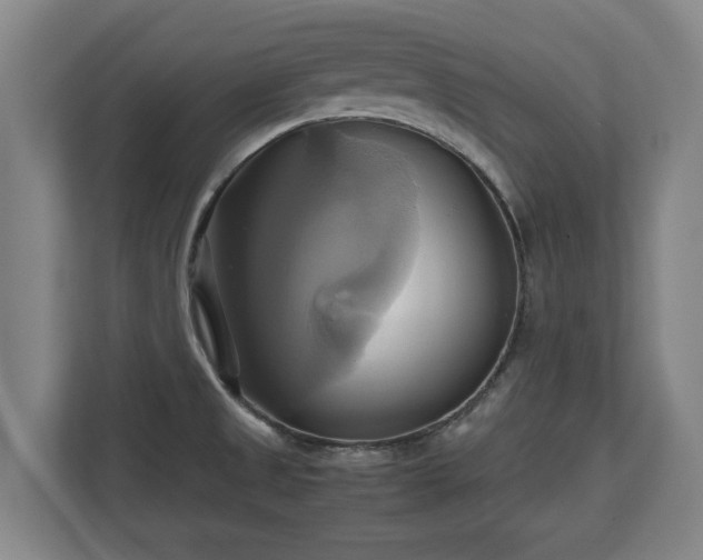 X0000110971525200906261357