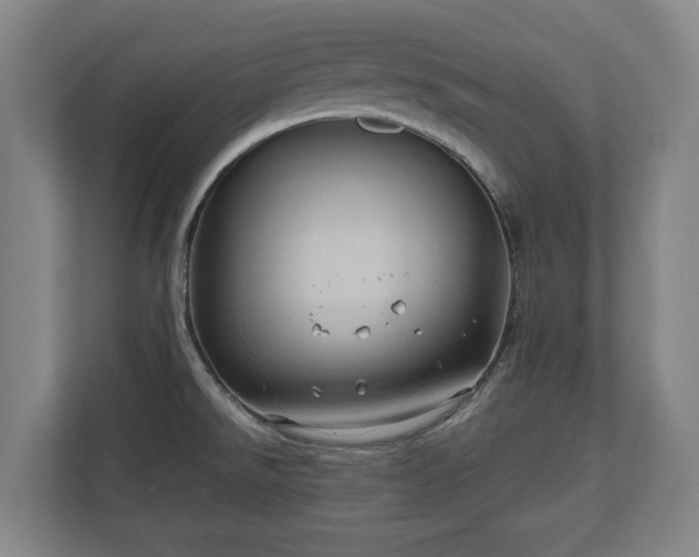 X0000110971526200906261357