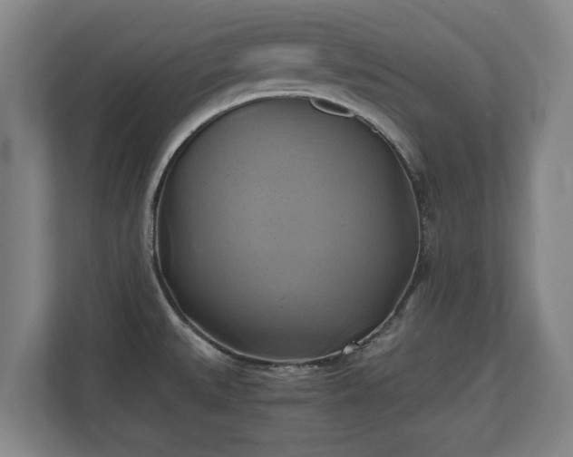 X0000110971527200906261357