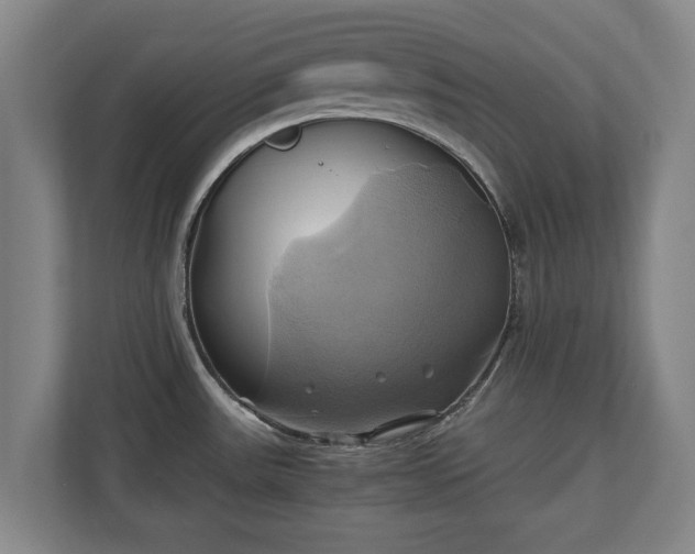 X0000110971531200906261357