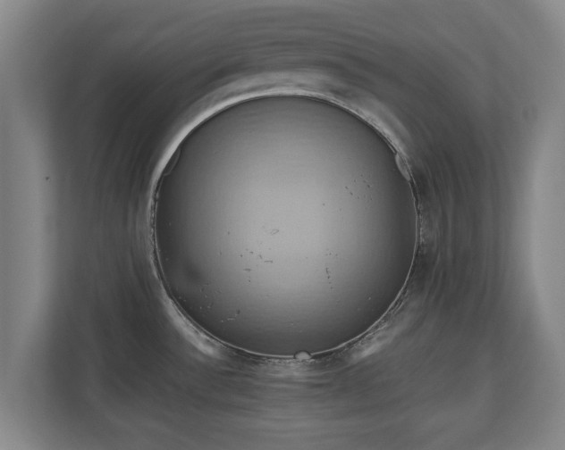 X0000110971532200906261357